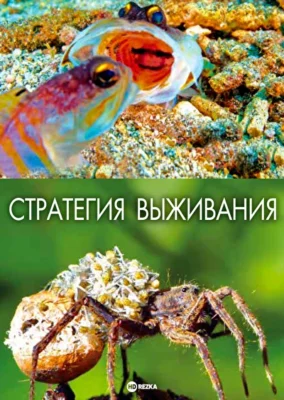 Стратегия выживания ()