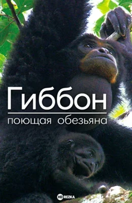 Гиббон — поющая обезьяна ()